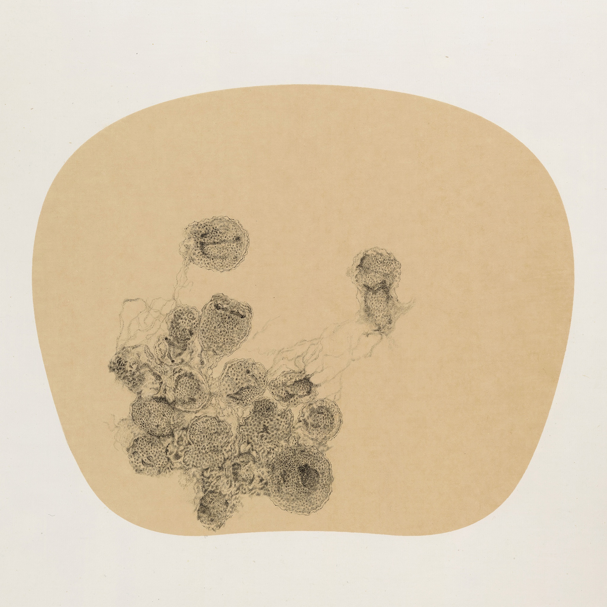 bingyi 冰逸, fairies 百妖图, 2012-2015